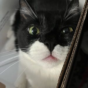 Meet your Posher, Olivia